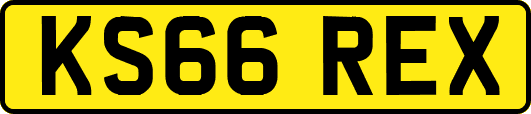 KS66REX