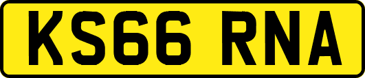 KS66RNA