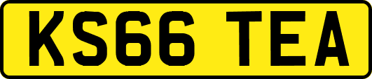 KS66TEA