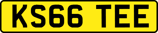 KS66TEE