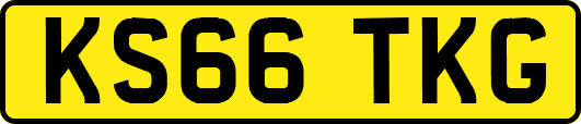 KS66TKG