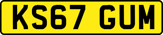 KS67GUM