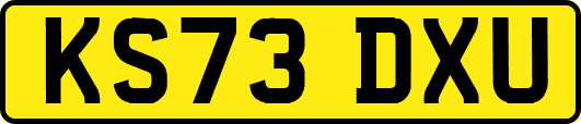 KS73DXU