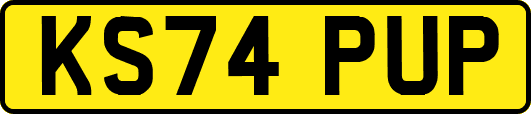 KS74PUP
