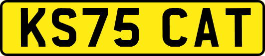 KS75CAT