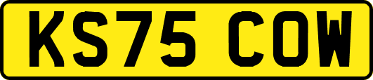 KS75COW