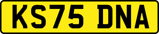 KS75DNA