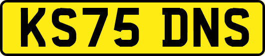 KS75DNS