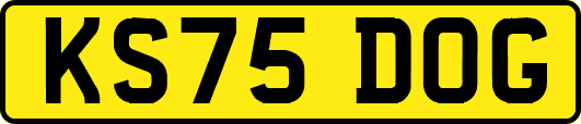 KS75DOG