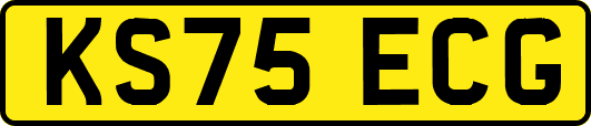 KS75ECG