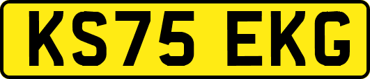 KS75EKG