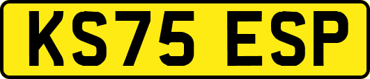 KS75ESP