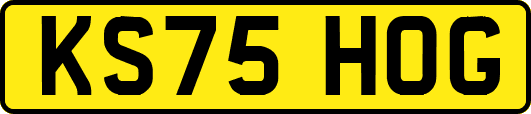 KS75HOG