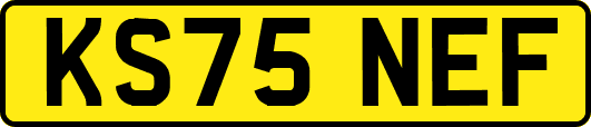 KS75NEF