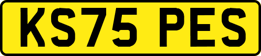 KS75PES