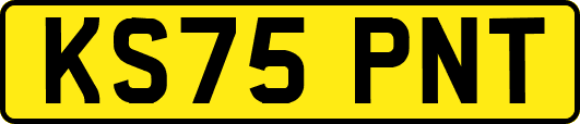 KS75PNT
