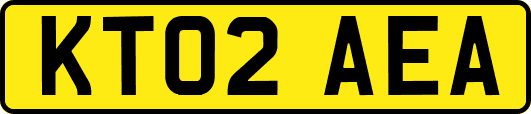 KT02AEA