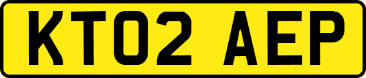 KT02AEP