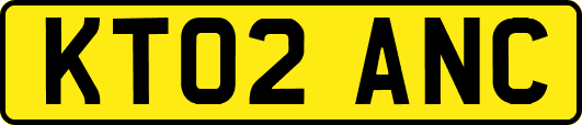 KT02ANC