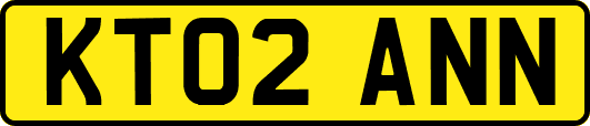 KT02ANN