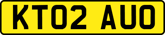 KT02AUO