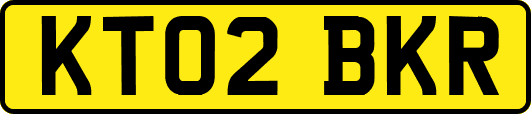 KT02BKR