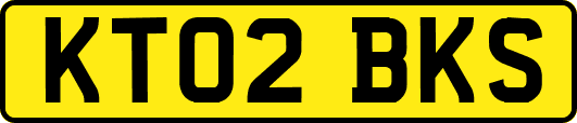KT02BKS