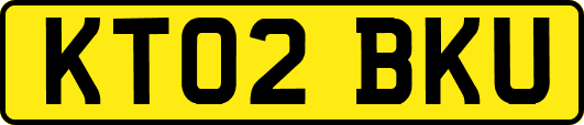 KT02BKU