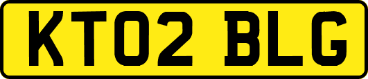 KT02BLG