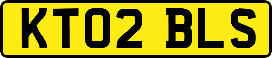KT02BLS