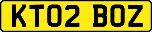 KT02BOZ