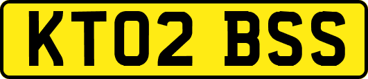 KT02BSS