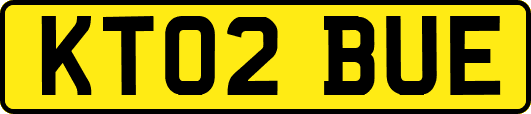 KT02BUE