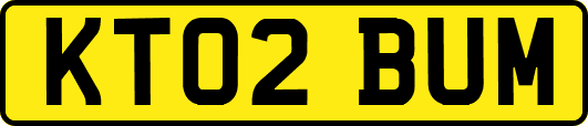 KT02BUM