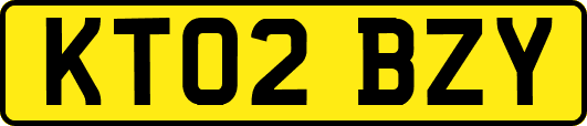 KT02BZY