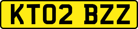 KT02BZZ