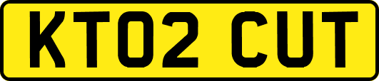 KT02CUT