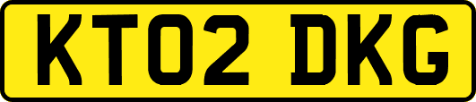 KT02DKG