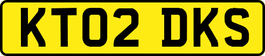 KT02DKS