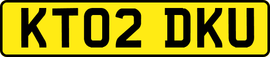 KT02DKU