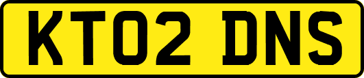 KT02DNS