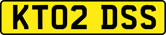 KT02DSS