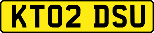 KT02DSU