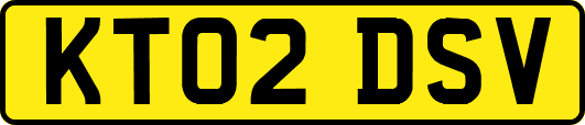 KT02DSV
