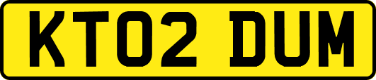 KT02DUM