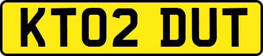 KT02DUT