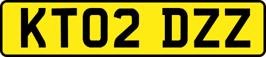 KT02DZZ