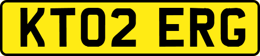 KT02ERG