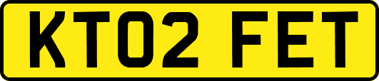 KT02FET
