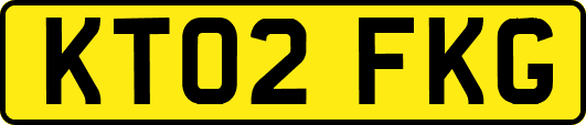 KT02FKG
